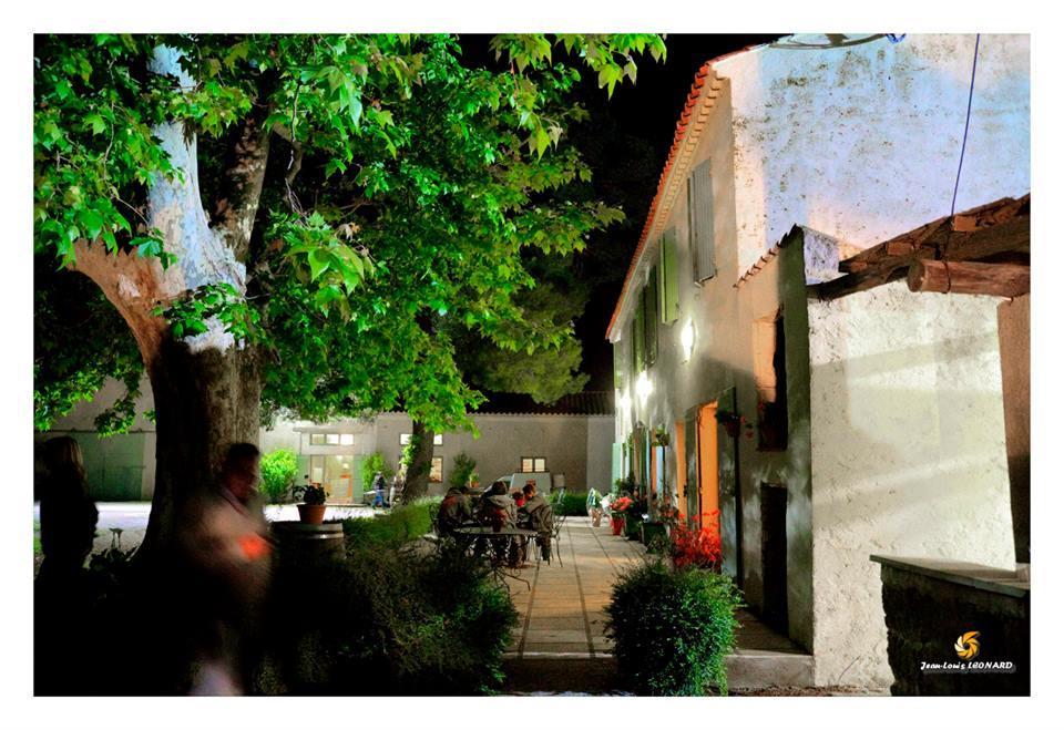 Manade Saint Louis Mas De La Paix Bed & Breakfast Vauvert Ngoại thất bức ảnh